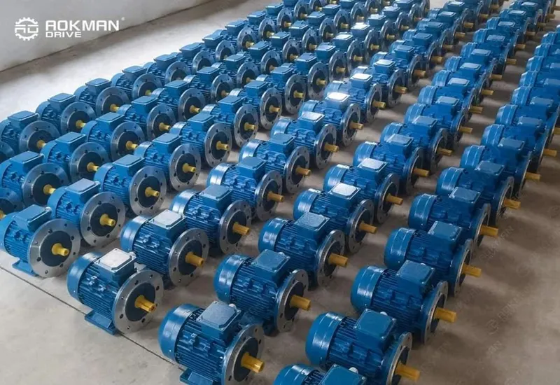 1.5 HP NMRV Series Worm Geared Motor
