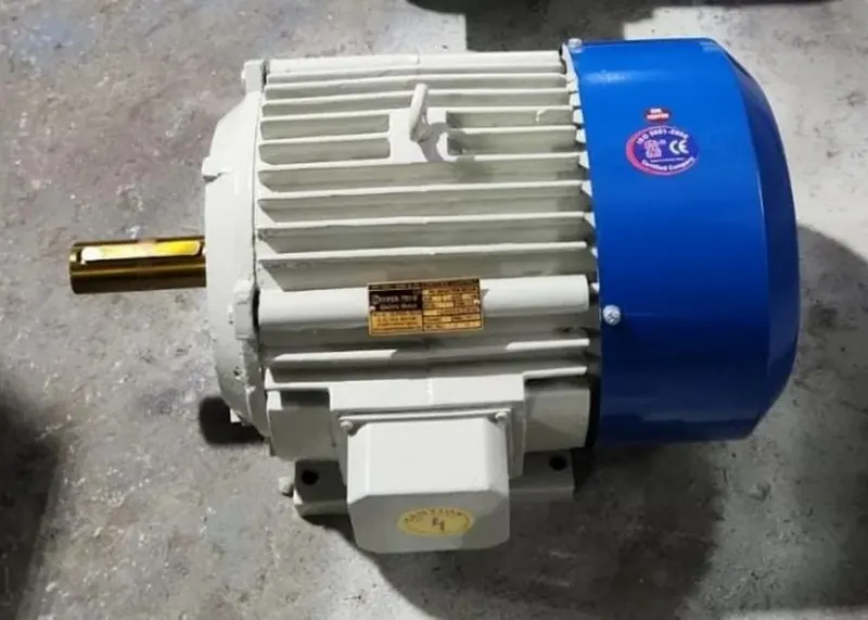 3 HP TEFC AC Induction Motor