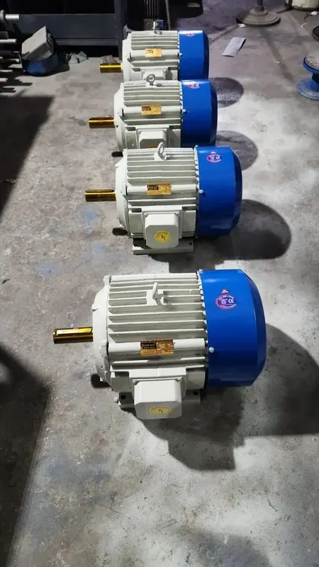 3 HP TEFC AC Induction Motor