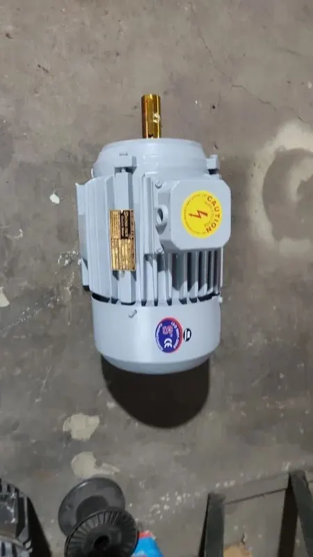 5 HP MK Engineering Three Phase Squirrel Cage Induction Motor