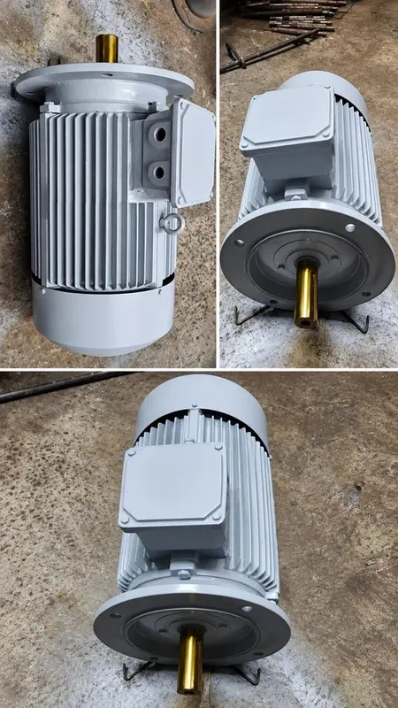 Electric Motor